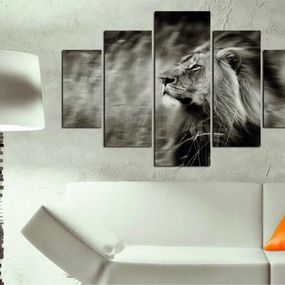 Viacdielny obraz RUNNING LION 205 92 x 56 cm