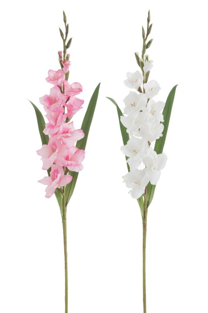 2ks biela a ružová umelá kvetina gladiol / gladioly - 12 * 102 cm