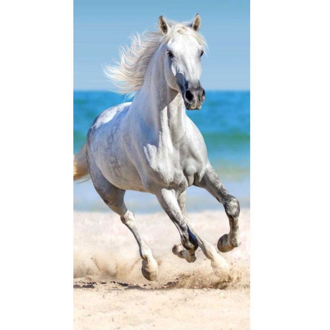 Osuška Kôň 70X140cm Faro