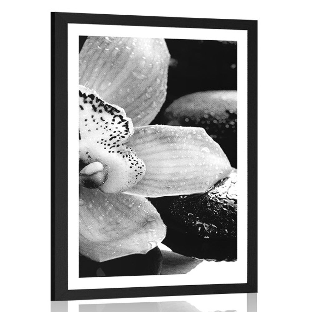 Plagát s paspartou exotická orchidea v čiernobielom prevedení - 40x60 black