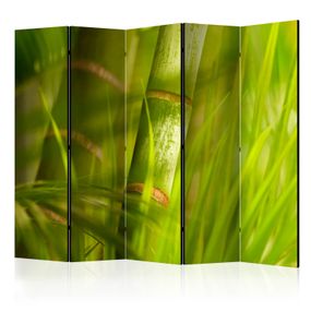 Artgeist Paraván - bamboo - nature zen [Room Dividers]