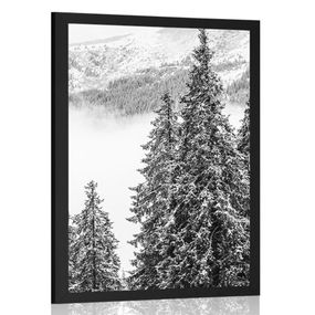 Plagát zasnežené borovicové stromy v čiernobielom prevedení - 60x90 white