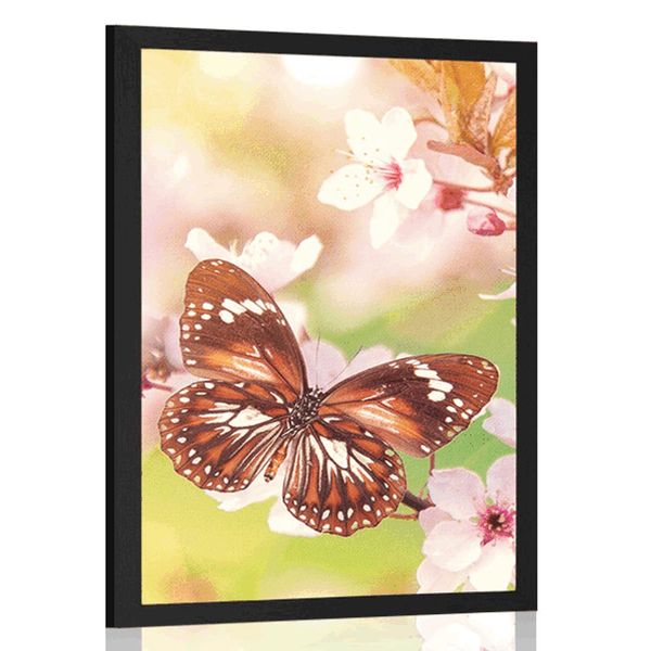 Plagát jarné kvety s exotickými motýľmi - 40x60 silver