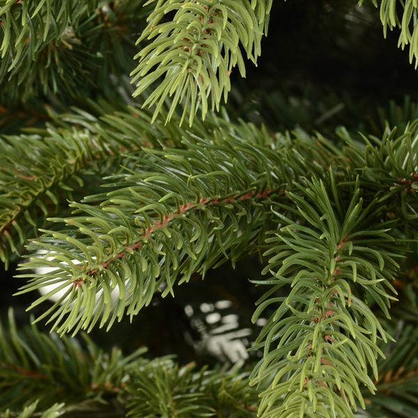 Vianočný stromček Christee 17 220 cm - zelená