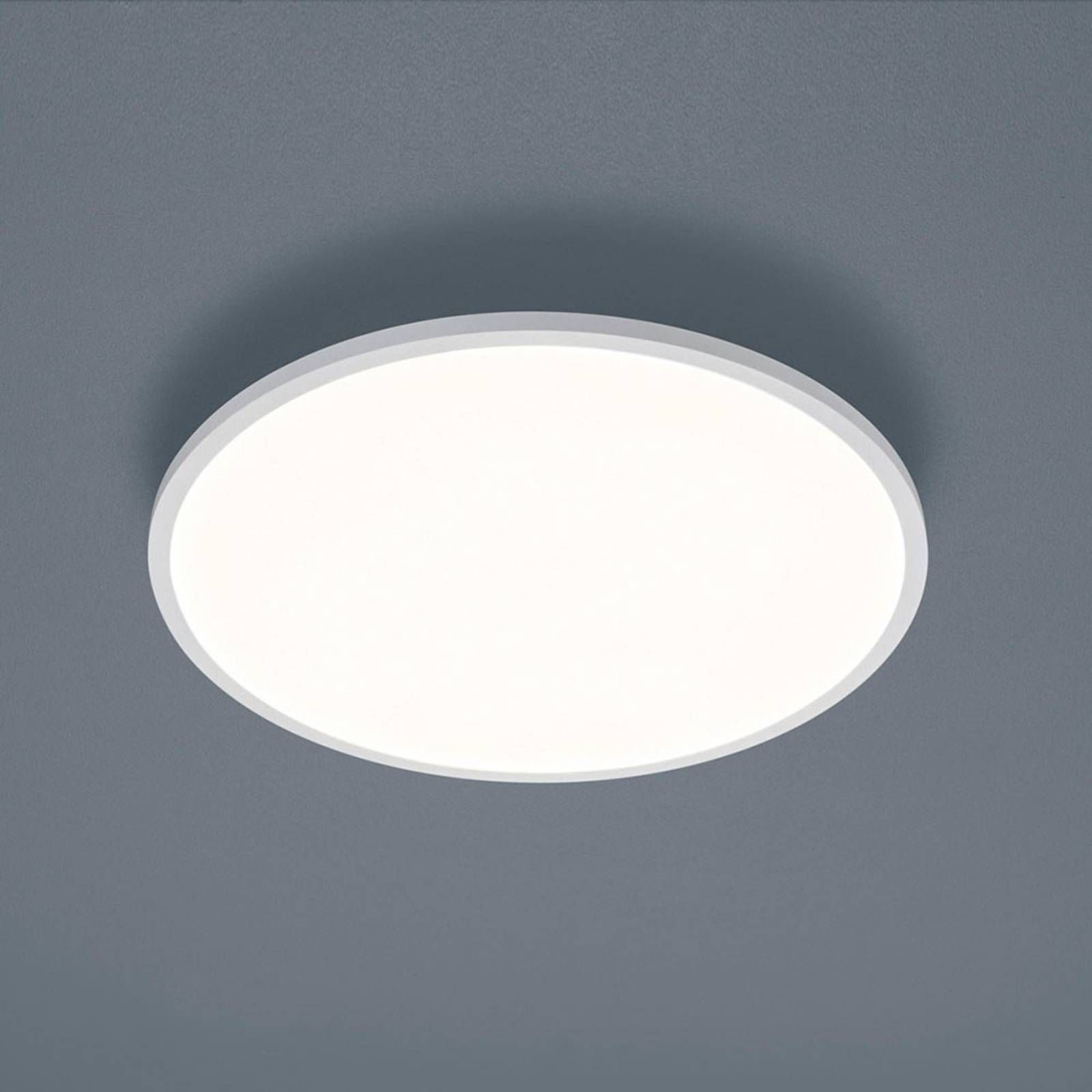 Helestra Rack stropné LED stmieva okrúhle biele, Chodba, kov, akryl, 20W, K: 3.5cm