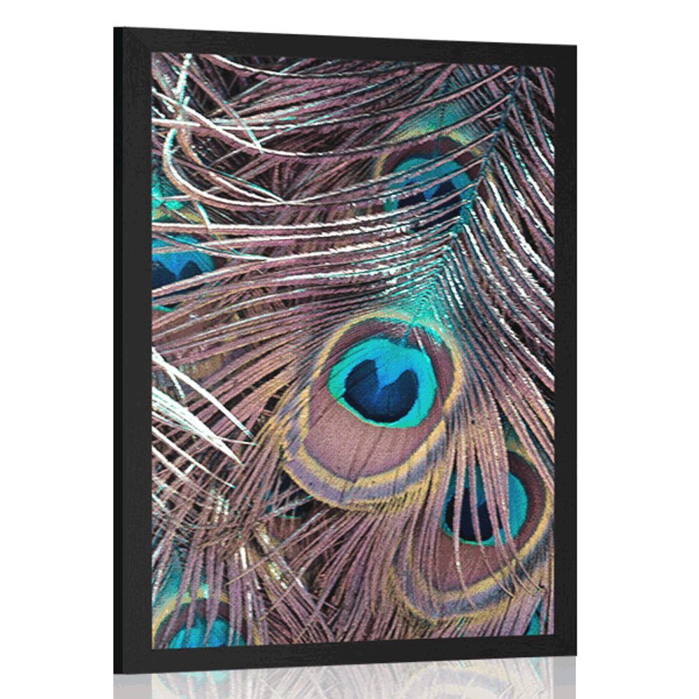 Plagát pávie pierko - 30x45 black