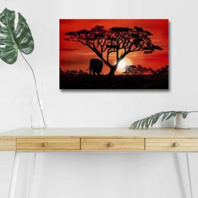 Obraz s LED osvětlením AFRICKÁ KRÁSA 53 45 x 70 cm