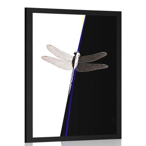 Plagát súmernosť vážky - 40x60 black