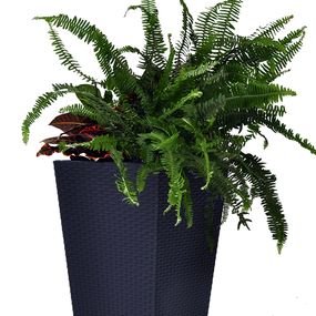 Rojaplast Rattan planter M - grafit