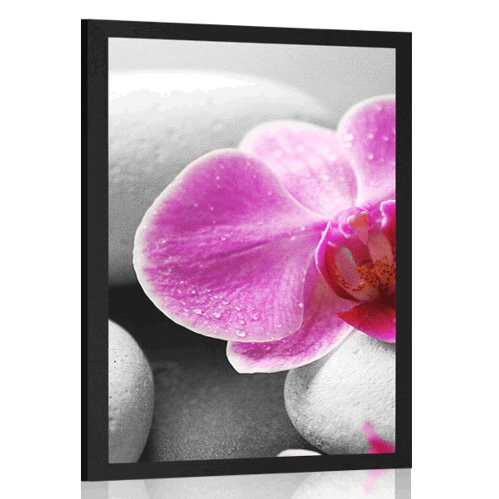 Plagát kvety orchidey na bielych kameňoch - 30x45 black