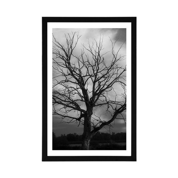 Plagát s paspartou čiernobiely strom na lúke - 60x90 silver