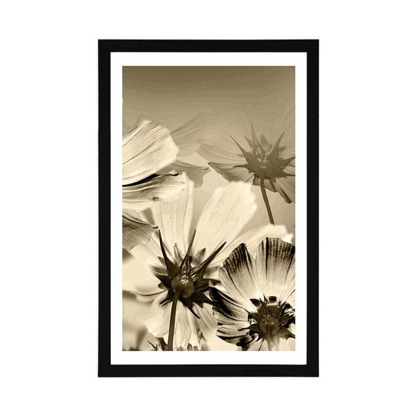 Plagát s paspartou záhradné kvety v sépiovom prevedení - 20x30 white