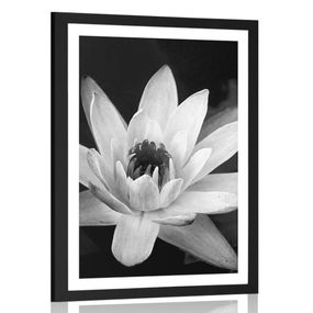 Plagát s paspartou čiernobiele lekno - 30x45 black