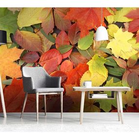 MS-5-0115 Vliesová obrazová fototapeta Colorful Leaves, veľkosť 375 x 250 cm