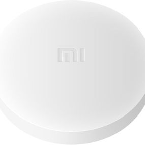 Xiaomi 23952