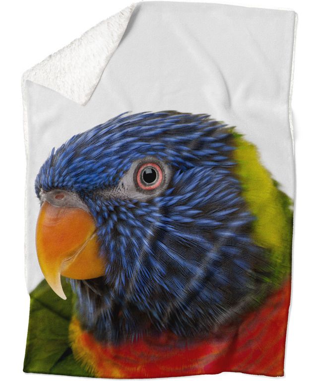 Deka Farebný papagáj (Rozmer: 200 x 140 cm, Podšitie baránkom: ÁNO)