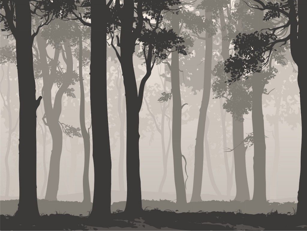 FTNS 1266 AG Design vliesová fototapeta 4-dielna Mystic Forest - Mystický les, veľkosť 360 x 270 cm