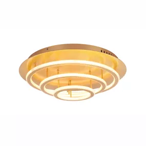 Stropné/nástenné svietidlo LED Arryn 49252-100G (zlatá + opál) (Stmievateľné)