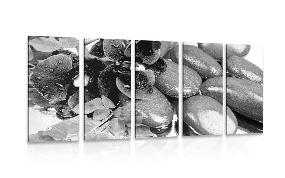 5-dielny obraz kvitnúca orchidea a wellness kamene v čiernobielom prevedení