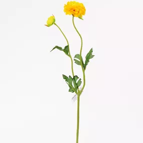 Ranunculus žltý kus 39cm 1100280