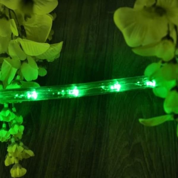 Nexos 586 LED svetelný kábel 10 m - zelená, 240 diód