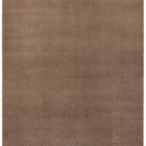 Hanse Home Collection koberce Kusový koberec Fancy 103008 Braun - hnedý - 100x150 cm