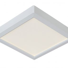 LED stropné svietidlo Lucide TENDO-LED 07106/18/31 integrovaný LED zdroj