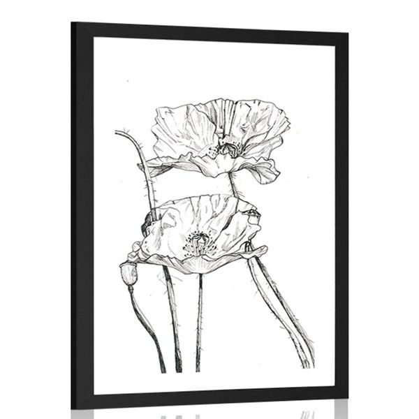Plagát s paspartou minimalistické kvety maku - 40x60 silver