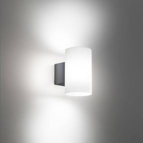 Ailati Bianca LED vonkajšie nástenné svietidlo tmavosivé, hliník, polykarbonát, 11.5W, K: 20cm
