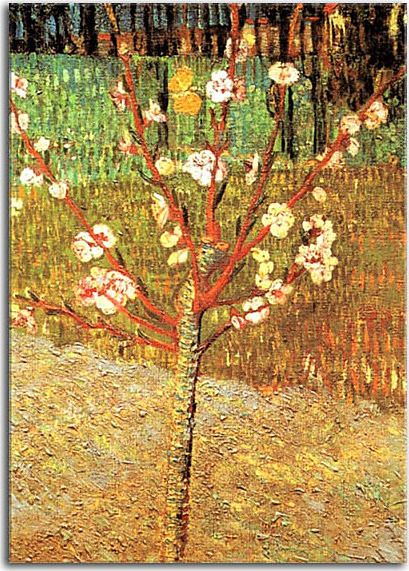 Obrazy Vincent van Gogh - Almond Tree in Blossom zs18375