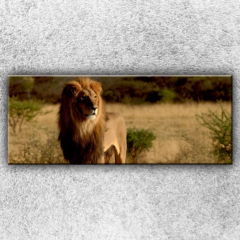 Foto na plátno Lev v pozore 1 150x60 cm