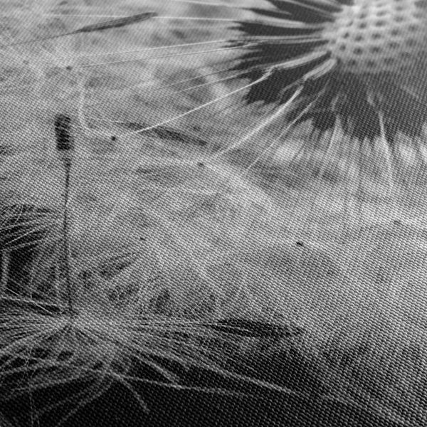Obraz semienka púpavy v čiernobielom prevedení - 90x60