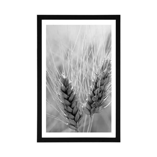 Plagát s paspartou pšeničné pole v čiernobielom prevedení - 40x60 black