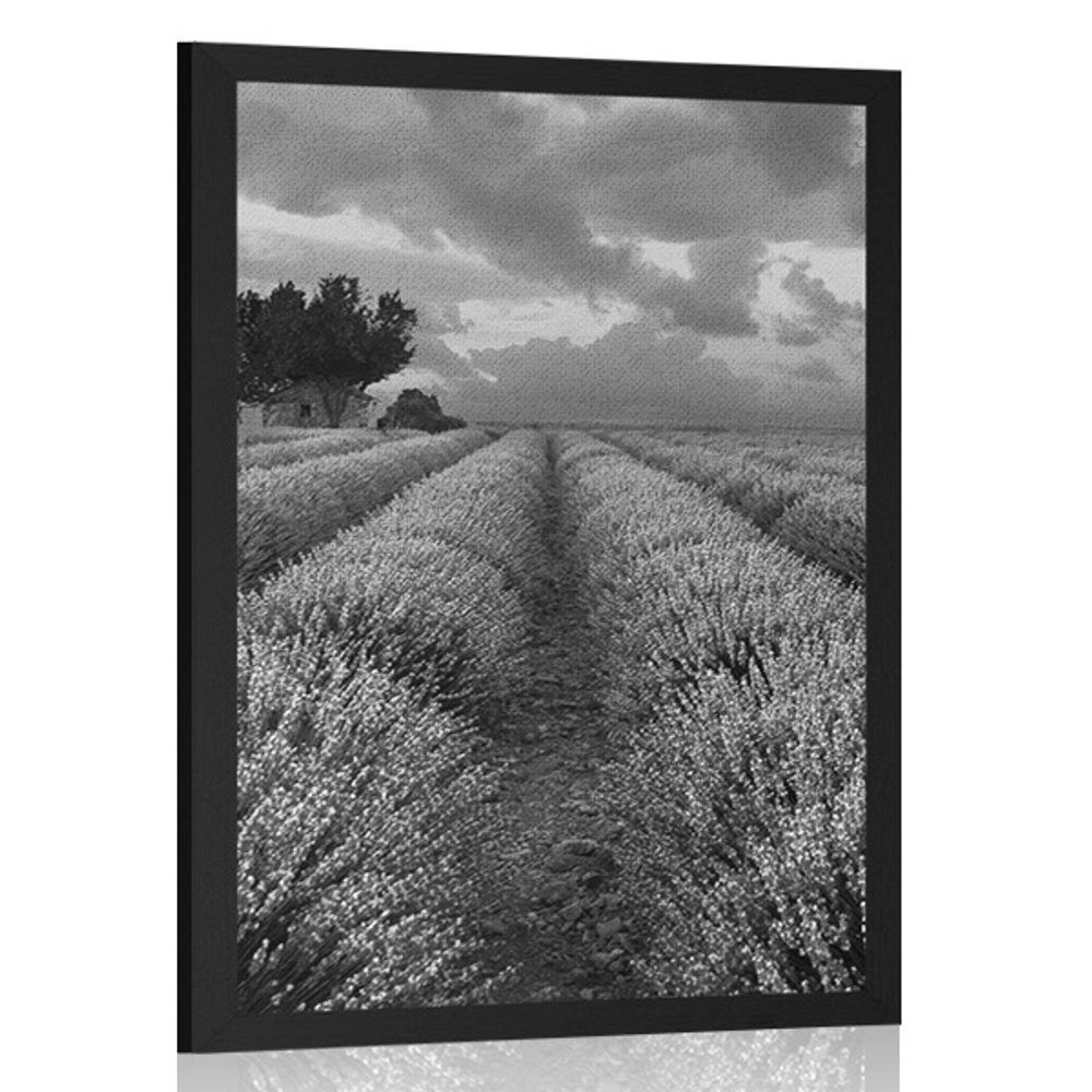 Plagát levanduľové pole v čiernobielom prevedení - 20x30 silver