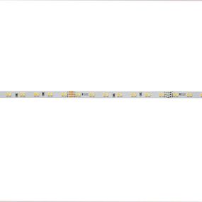 Light Impressions Deko-Light flexibilní LED pásek 2216-196-24V-3000-6500K-5m 24V DC 37,50 W 3000-6500 K 3685 lm 5000 840350