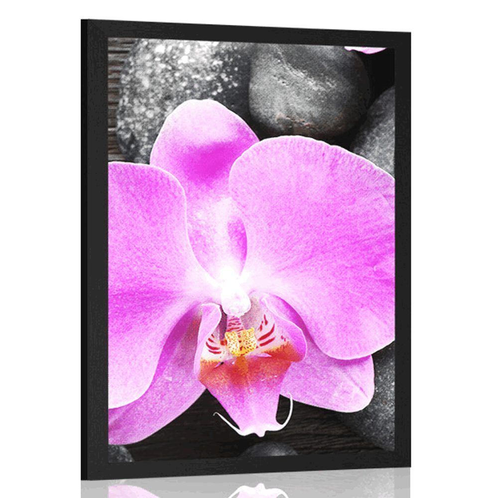 Plagát nádherná orchidea a kamene - 60x90 black