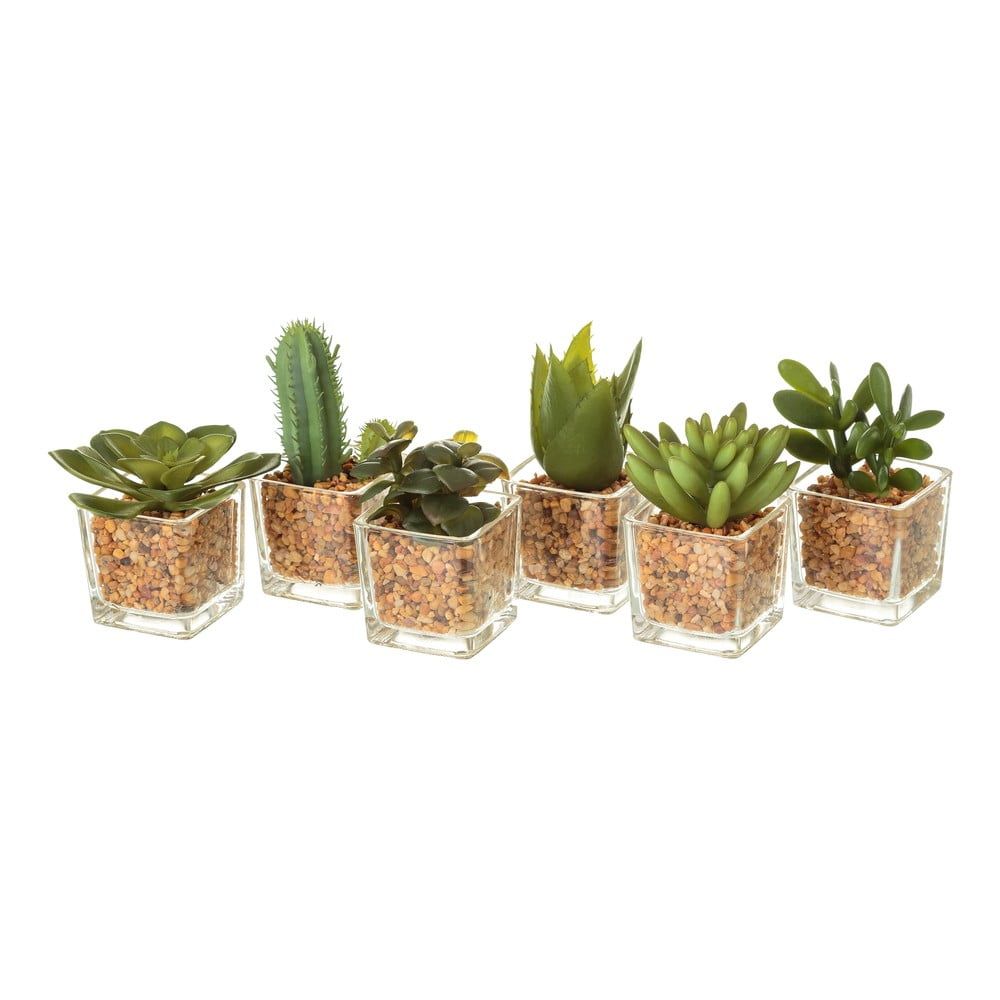 Umelé rastliny v súprave 6 ks (výška 8 cm) Cactus – Casa Selección