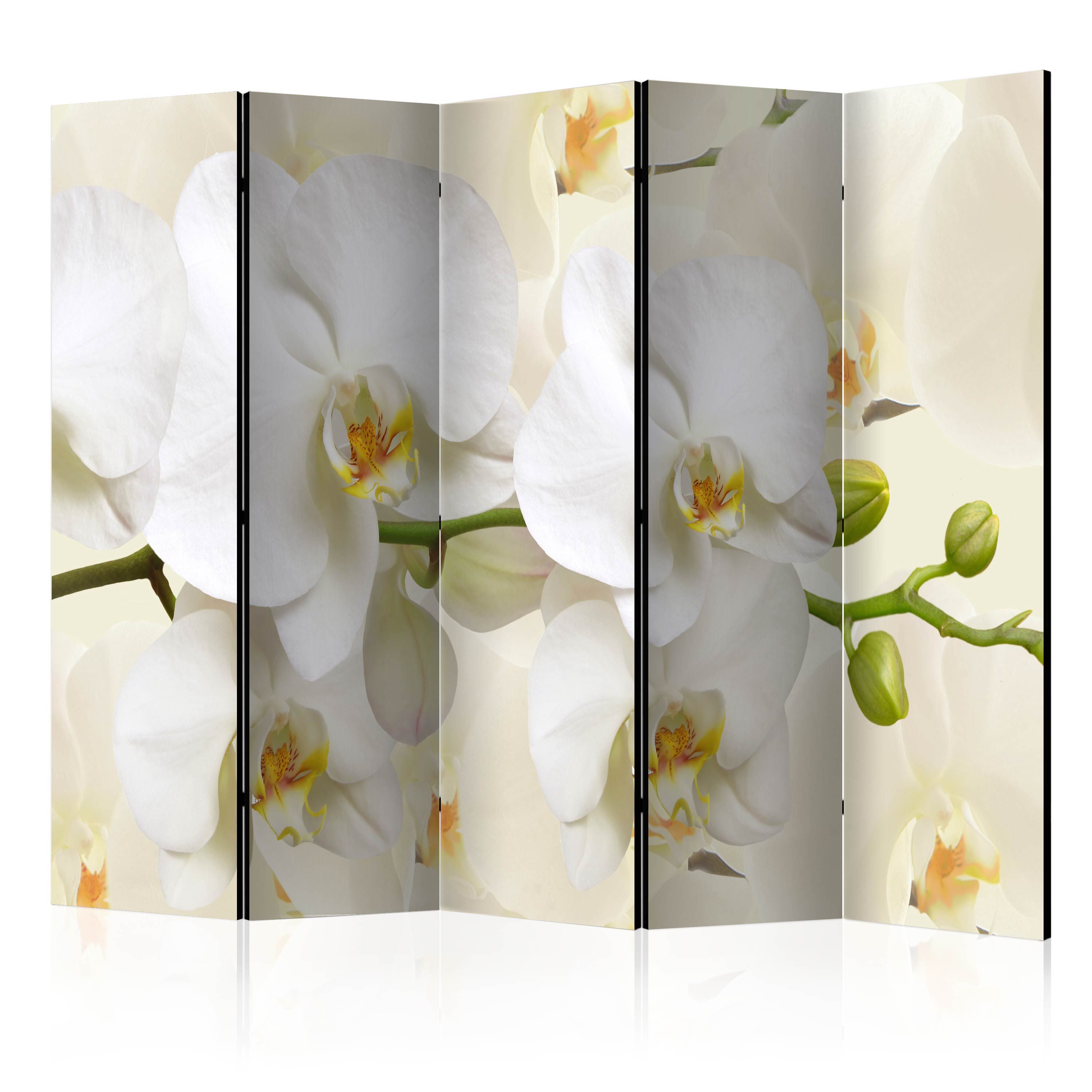 Artgeist Paraván - Orchid Branch [Room Dividers]