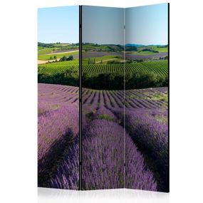 Artgeist Paraván - Lavender fields [Room Dividers]