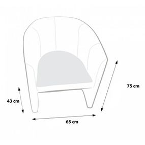 EF7023 Ecopuf Kreslo - Ecopuf - HOKER - PREMIUM hovädzia koža B2