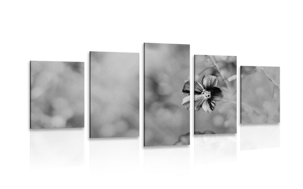 5-dielny obraz kvety v čiernobielom prevedení