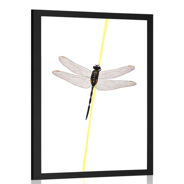 Plagát kúzlo vážky - 20x30 white