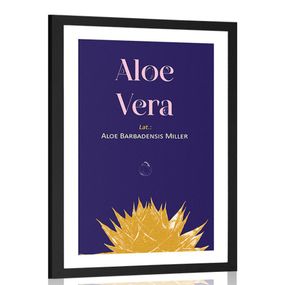 Plagát s paspartou a nápisom Aloe Vera - 40x60 black