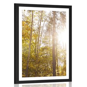 Plagát s paspartou les v jesenných farbách - 60x90 silver