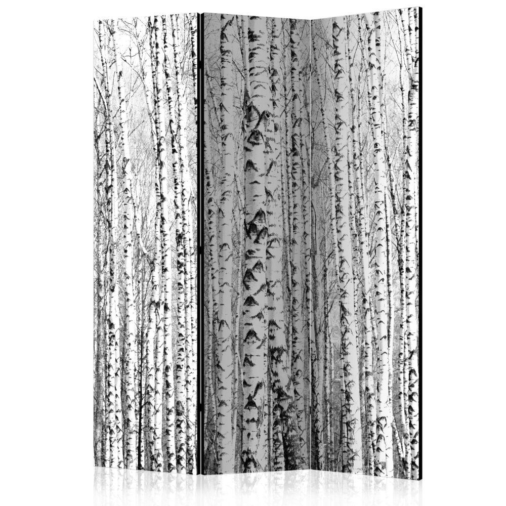 Paraván Birch forest Dekorhome 135x172 cm (3-dielny)