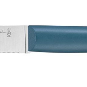 Opinel Bon Appetit steakový nôž s polymérovou rukoväťou, tyrkysový, čepel 11 cm 2190
