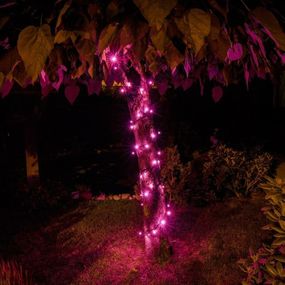 DecoLED LED světelný řetěz - 5m, růžová, 50 diod