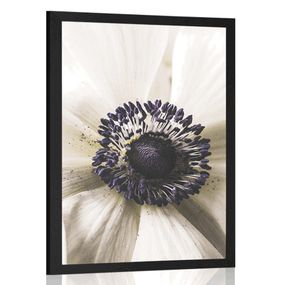 Plagát rozkvitnutý kvet - 30x45 black