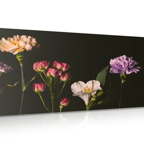 Obraz elegantné kvety na tmavom pozadí - 120x60