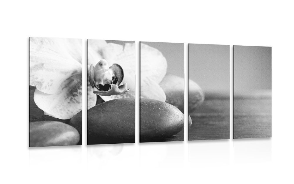 5-dielny obraz orchidea a kamene v čiernobielom prevedení